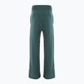 Spodnie damskie Nike Sportswear Phoenix Fleece vintage green/sail 2