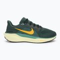 Buty do biegania męskie Nike Pegasus 41 vintage green / bicoastal / black / infinite gold 2