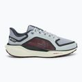 Buty do biegania męskie Nike Pegasus 41 GTX light pumice/ burgundy crush/ dark smoke grey/ ashen slate 2