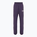 Spodnie damskie Nike Sportswear Fleece dark raisin