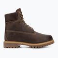 Buty męskie Timberland 6In Premium brown 2