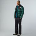 Spodnie męskie The North Face Antora Rain black 2