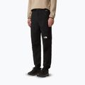 Spodnie trekkingowe męskie The North Face Diablo Reg Tapered black