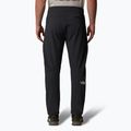 Spodnie trekkingowe męskie The North Face Diablo Reg Tapered asphalt grey/npf 3