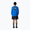 Longsleeve męski The North Face Box Nse Tee heroblue/tnfblk 2