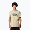 Koszulka męska The North Face Mountain Line Tee gravel