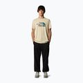 Koszulka męska The North Face Mountain Line Tee gravel 2