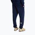 Spodnie trekkingowe męskie The North Face Simple Dome Light Regular Tapered Jogger summit navy 3