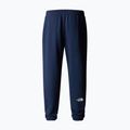 Spodnie trekkingowe męskie The North Face Simple Dome Light Regular Tapered Jogger summit navy 5