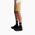 Spodenki trekkingowe męskie The North Face Lightning SHT khaki stone/npf 4