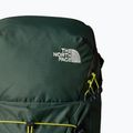 Plecak turystyczny damski The North Face Trail Lite 24 l duck green/new taupe green 4