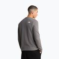 Bluza męska The North Face Kecha Crew smoked pearl/asphalt grey 3