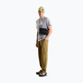 Koszulka męska The North Face Evolution Half Dome tnf pale grey heather 2