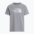 Koszulka męska The North Face Evolution Half Dome tnf pale grey heather 4