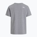Koszulka męska The North Face Evolution Half Dome tnf pale grey heather 5