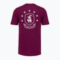 Koszulka treningowa męska Under Armour Project Rock Badge Of Honor purple 4