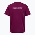 Koszulka treningowa męska Under Armour Project Rock Terry Q3 purple 2