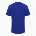 Koszulka męska Under Armour Curry Logo Trend royal/white/taxi 2