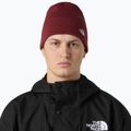 Czapka zimowa The North Face Norm Beanie sumac 3