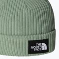 Czapka zimowa dziecięca The North Face Salty Lined slate moss 2