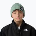 Czapka zimowa dziecięca The North Face Logo Box Cuffed slate moss 3