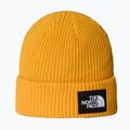 Czapka zimowa The North Face Salty Lined summit moss