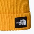 Czapka zimowa The North Face Salty Lined 2