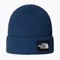Czapka zimowa The North Face Salty Lined