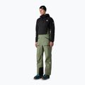 Spodnie narciarskie męskie The North Face Summit Tsirku GTX Pro Bib bark mist/black