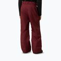 Spodnie narciarskie dziecięce The North Face Freedom Insulated sumac 3