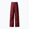 Spodnie narciarskie dziecięce The North Face Freedom Insulated sumac 4