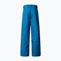 Spodnie narciarskie dziecięce The North Face Freedom Insulated dusk blue 5