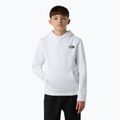 Bluza dziecięca The North Face Teen Redbox Regular P/O white/black 4