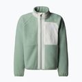 Bluza polarowa dziecięca The North Face Yumiori Full Zip slate moss/white dune 5