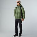 Kurtka ocieplana męska The North Face Terra Peak Hoodie bark mist 2