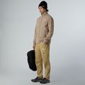 Bluza polarowa męska The North Face Glacier Fleece mushroom grey 2