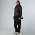 Kurtka puchowa damska The North Face Terra Peak Hoodie black 2