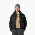 Kurtka puchowa damska The North Face Hyalite Down Hoodie black 4