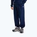 Bluza męska The North Face Evolution Simple Dome Regular Hoodie summit navy
