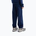 Bluza męska The North Face Evolution Simple Dome Regular Hoodie summit navy 3