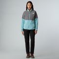 Spodnie trekkingowe damskie The North Face Quest Softshell black 2