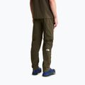 Spodnie trekkingowe męskie The North Face Exploration Regular Tapered Convertible taupe green 3