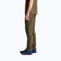 Spodnie trekkingowe męskie The North Face Exploration Regular Tapered Convertible taupe green 4
