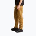 Spodnie trekkingowe męskie The North Face Exploration Cargo utility brown 4