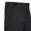 Spodnie narciarskie męskie The North Face Chakal Regular black/black 3
