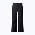 Spodnie narciarskie męskie The North Face Chakal black/black