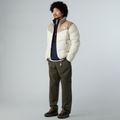 Kurtka ocieplana męska The North Face Saikuru mushroom grey/white dun 2