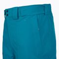Spodnie narciarskie męskie The North Face Chakal Regular dusk blue 4