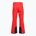 Spodnie narciarskie męskie The North Face Chakal Regular elevation red 2