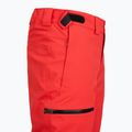 Spodnie narciarskie męskie The North Face Chakal Regular elevation red 3